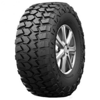 Шины kapsen-rs25